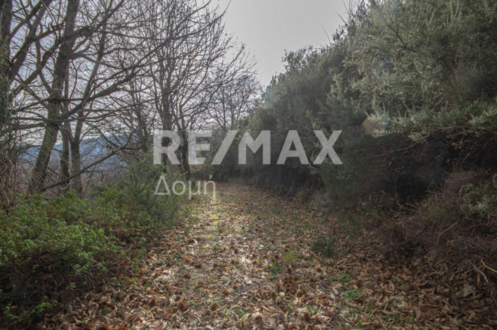 Image No.26-Property for sale