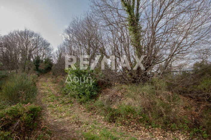 Image No.32-Property for sale