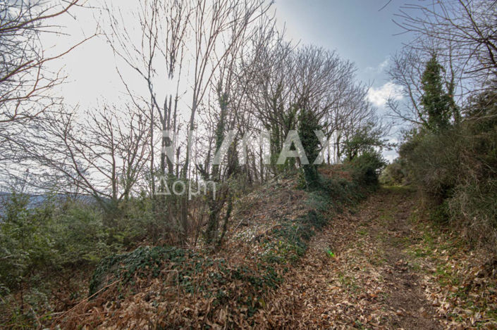 Image No.33-Property for sale