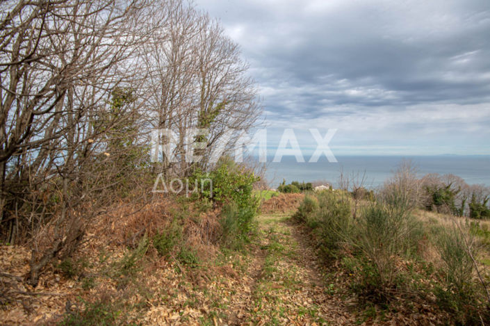 Image No.34-Property for sale