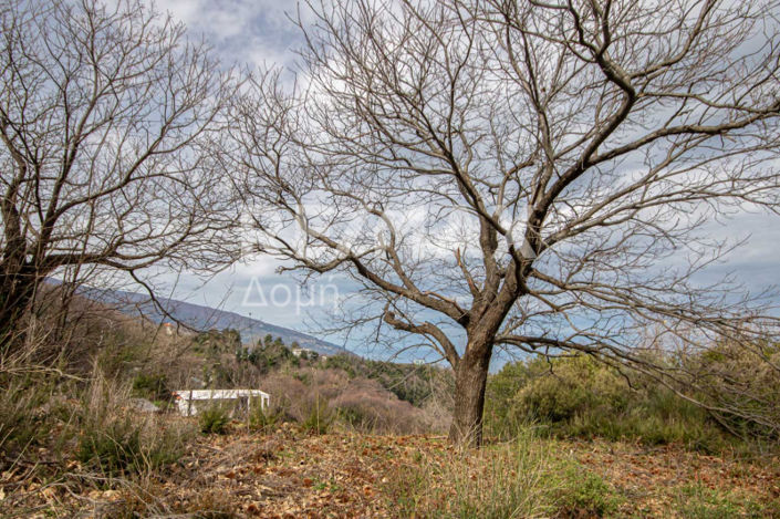 Image No.36-Property for sale