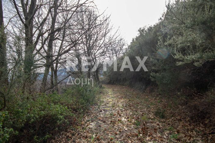 Image No.37-Property for sale