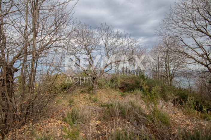 Image No.39-Property for sale