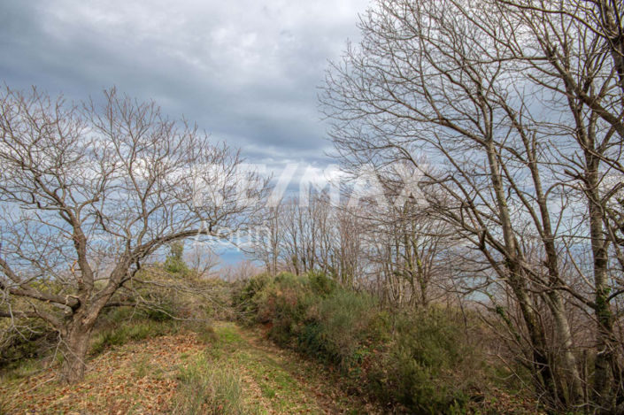 Image No.6-Property for sale