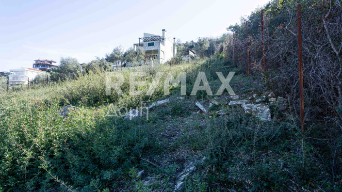 Image No.12-Land for sale