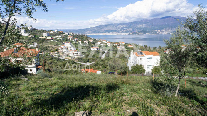 Image No.6-Land for sale