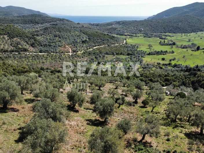 Image No.11-Propriété à vendre à Magnésie