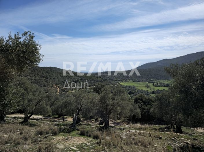 Image No.13-Propriété à vendre à Magnésie