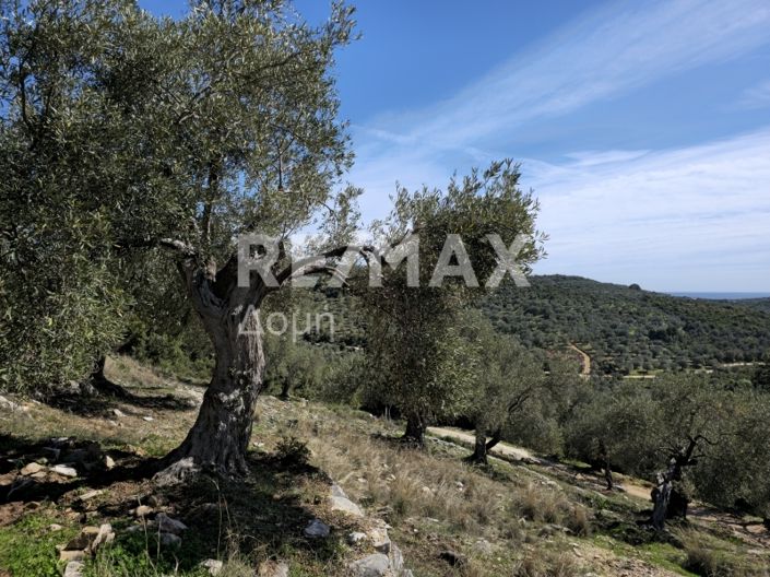 Image No.15-Propriété à vendre à Magnésie