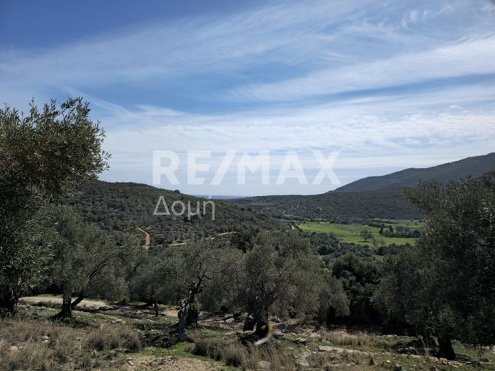 Image No.16-Propriété à vendre à Magnésie