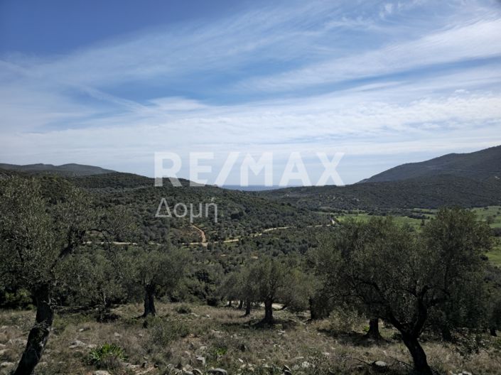 Image No.17-Propriété à vendre à Magnésie