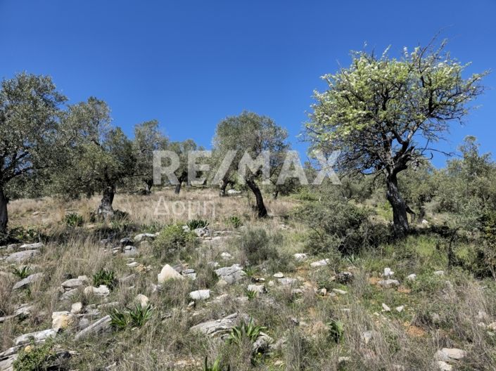 Image No.18-Propriété à vendre à Magnésie