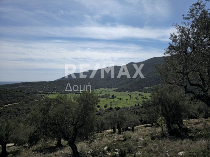 Image No.19-Propriété à vendre à Magnésie