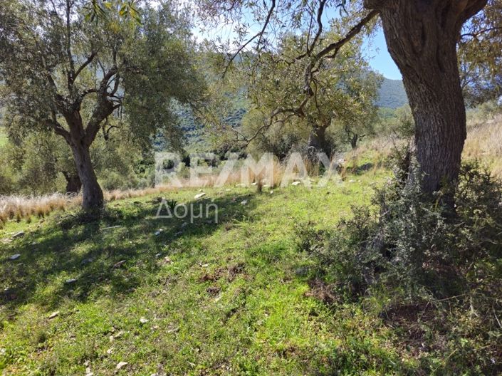 Image No.20-Propriété à vendre à Magnésie