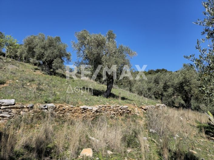 Image No.21-Propriété à vendre à Magnésie