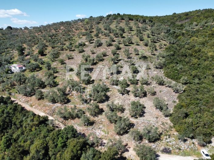 Image No.3-Propriété à vendre à Magnésie