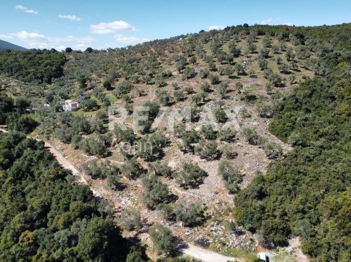 Image No.4-Propriété à vendre à Magnésie