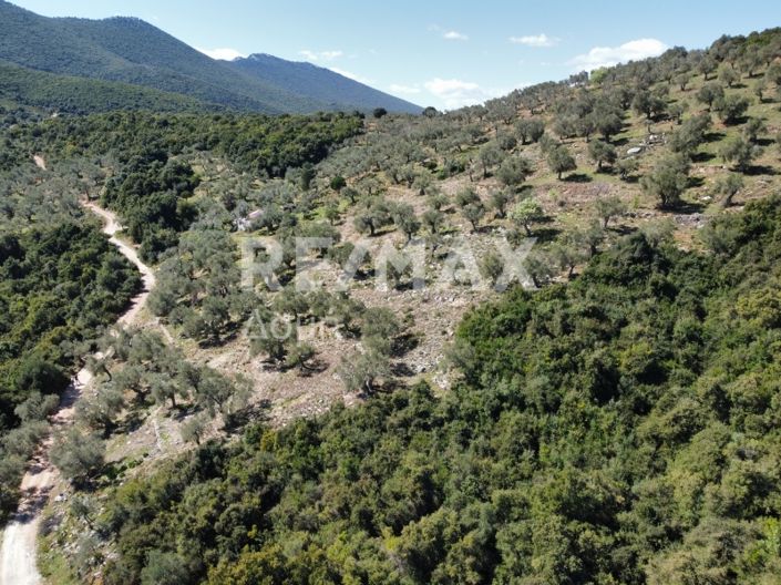 Image No.6-Propriété à vendre à Magnésie