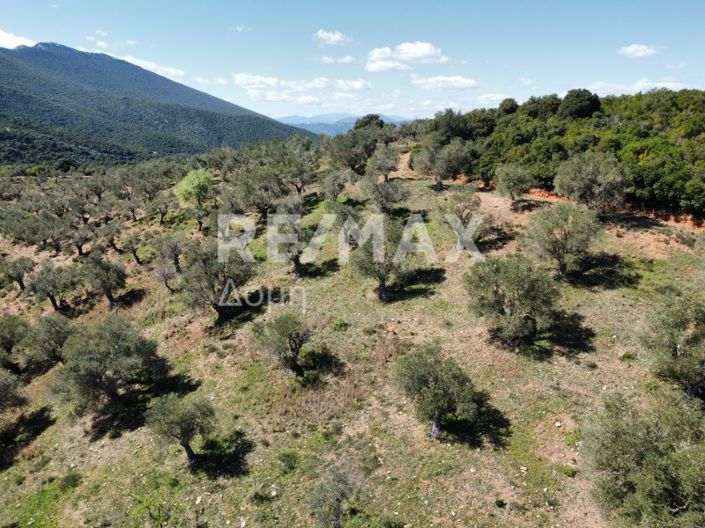 Image No.7-Propriété à vendre à Magnésie