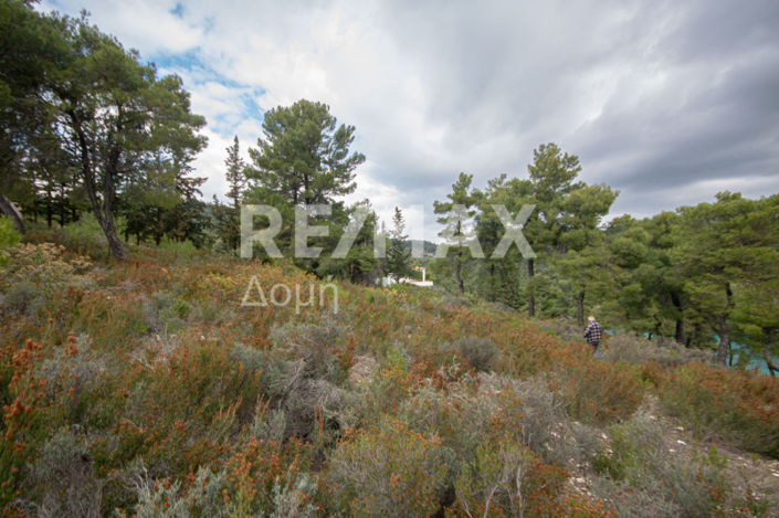 Image No.34-Property for sale