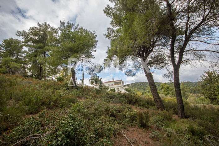 Image No.40-Property for sale