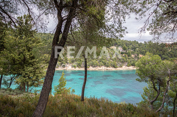 Image No.41-Property for sale