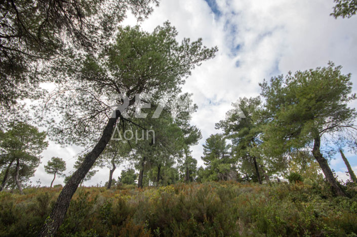 Image No.42-Property for sale