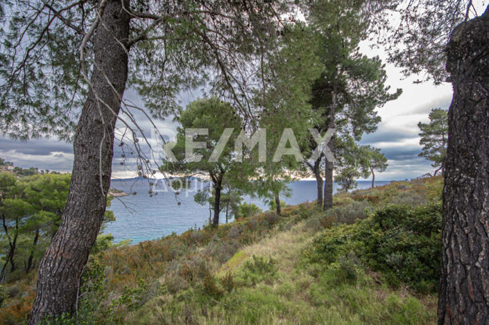 Image No.44-Property for sale