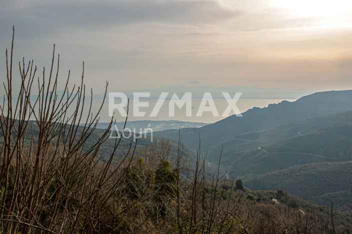 Image No.29-4 Bed House for sale