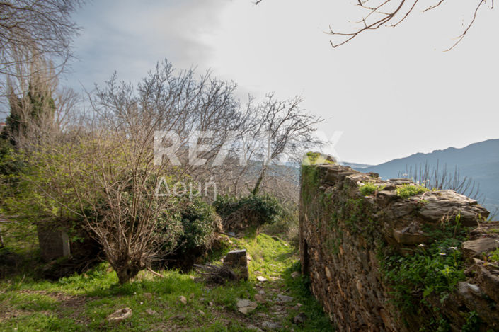 Image No.33-4 Bed House for sale