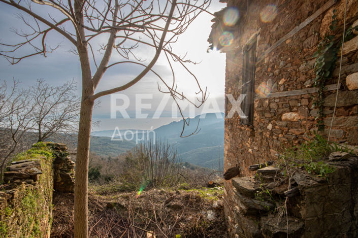 Image No.36-4 Bed House for sale