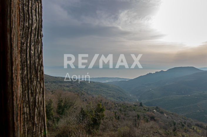 Image No.9-4 Bed House for sale