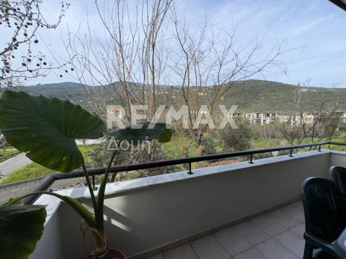 Image No.36-1 Bed Apartment for sale