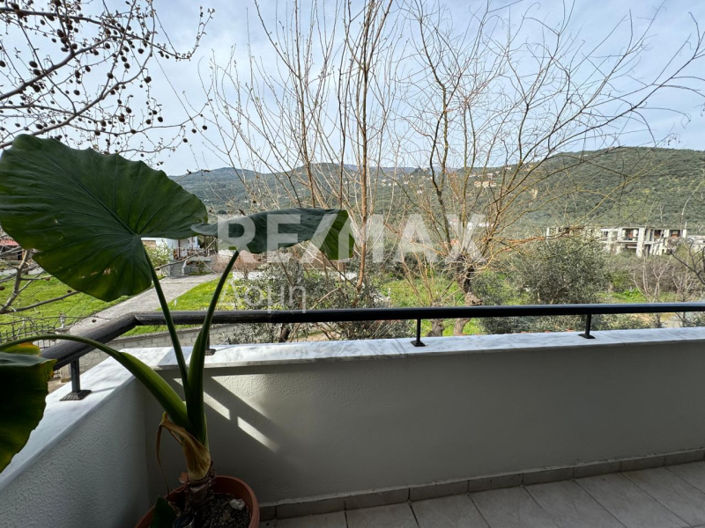 Image No.38-1 Bed Apartment for sale