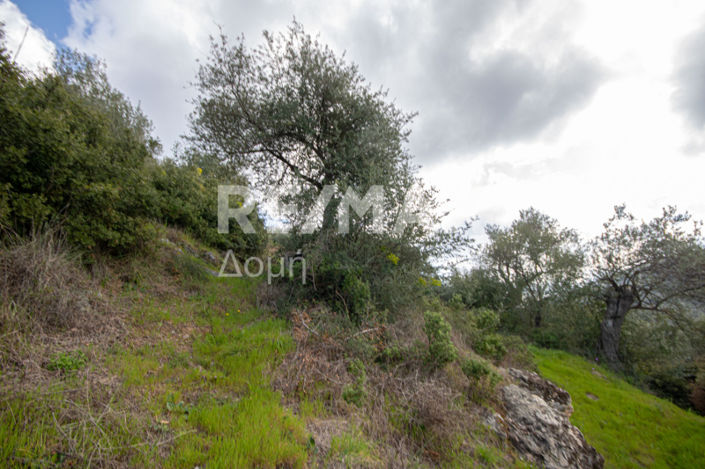 Image No.18-Property for sale