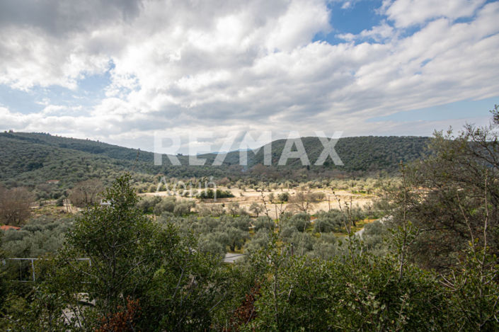 Image No.20-Property for sale