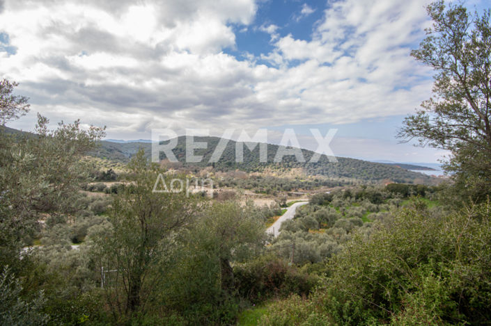 Image No.22-Property for sale