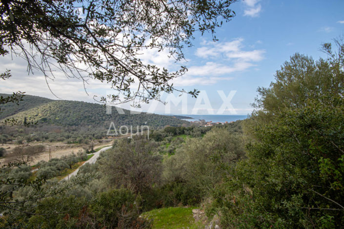 Image No.23-Property for sale