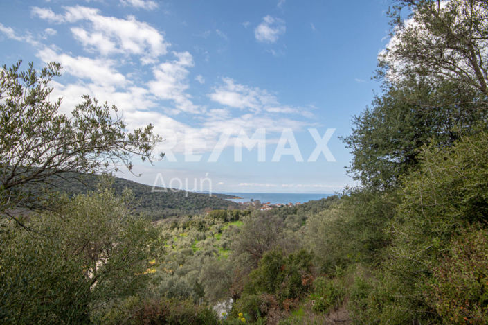 Image No.4-Property for sale