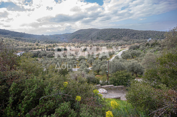 Image No.5-Property for sale