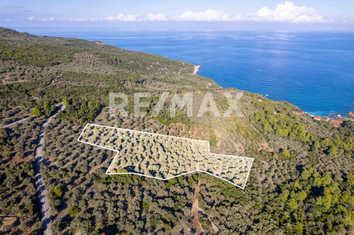 Image No.2-Property for sale