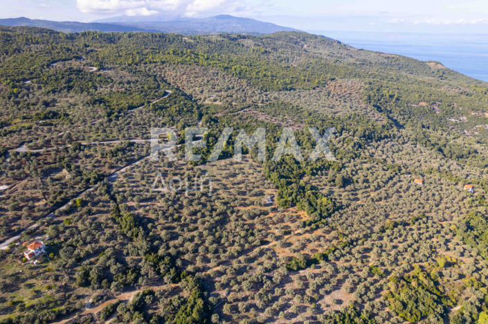 Image No.20-Property for sale