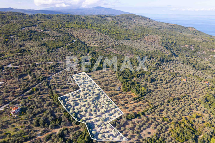 Image No.21-Property for sale