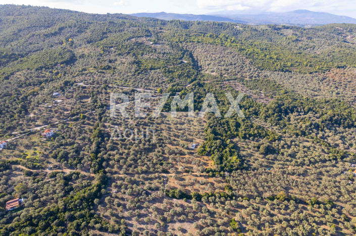 Image No.22-Property for sale
