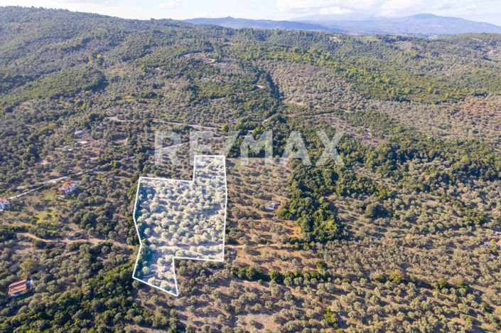 Image No.23-Property for sale