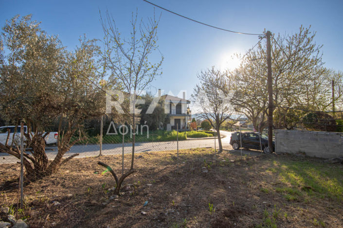 Image No.10-Land for sale