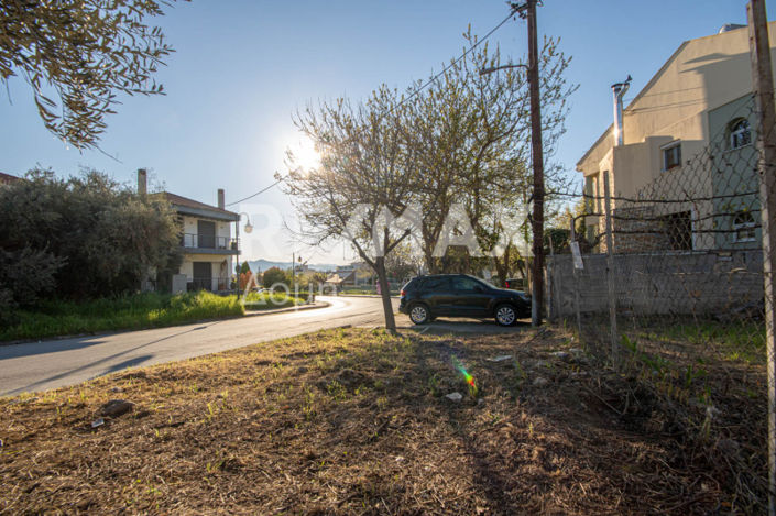 Image No.15-Land for sale