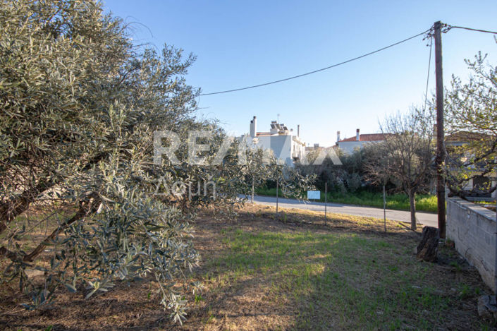 Image No.19-Land for sale