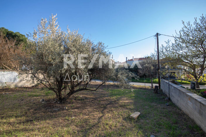 Image No.23-Land for sale