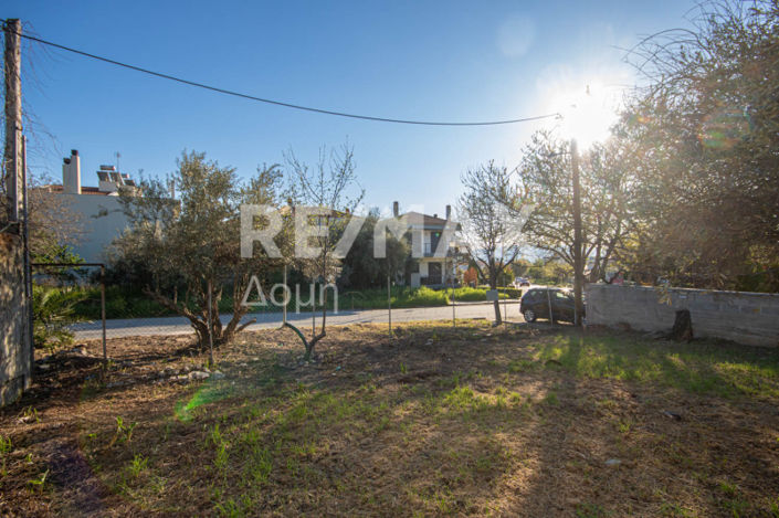 Image No.28-Land for sale